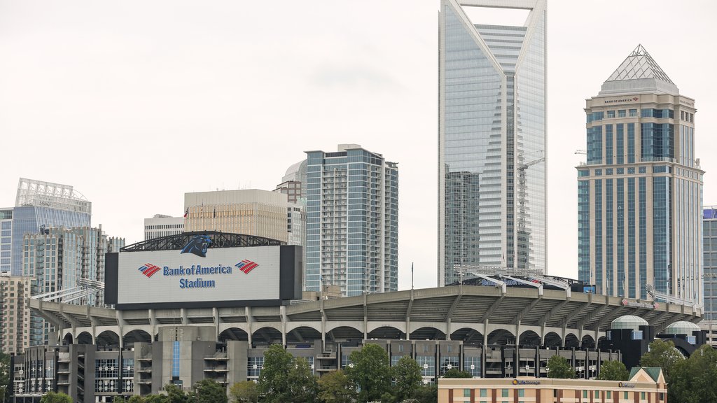 Panthers to replace hundreds of seats with 14 luxury suites – WSOC TV