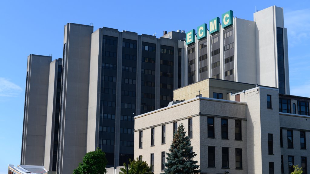 Naming rights deal puts Highmark Blue Cross Blue Shield of Western New York  moniker front and center - Buffalo Business First