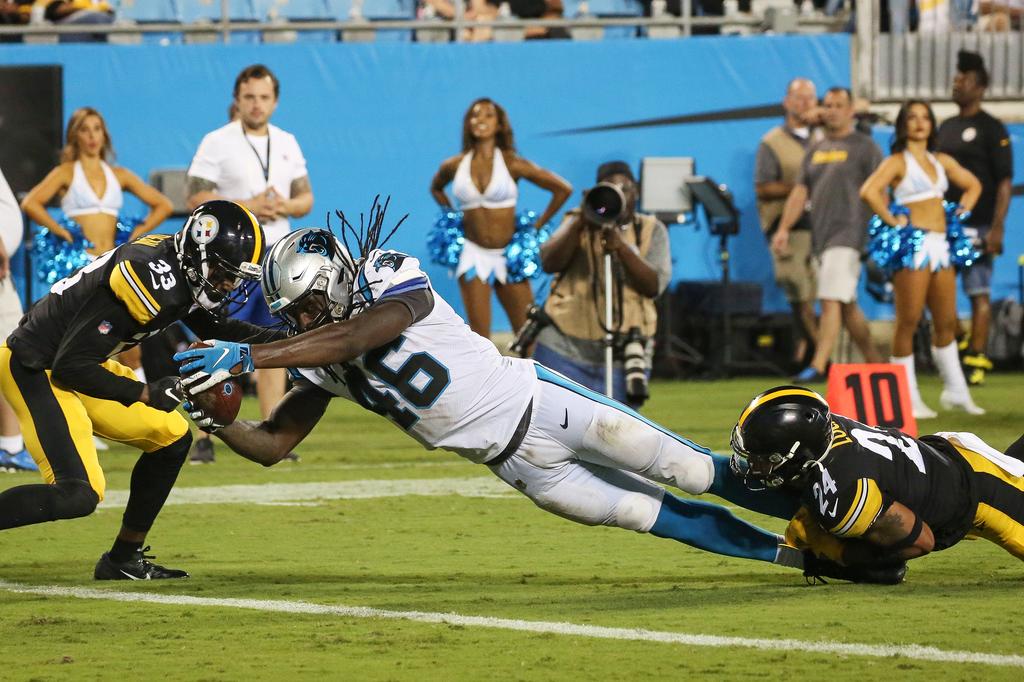 Event Feedback: Pittsburgh Steelers vs. Carolina Panthers - NFL Preseason