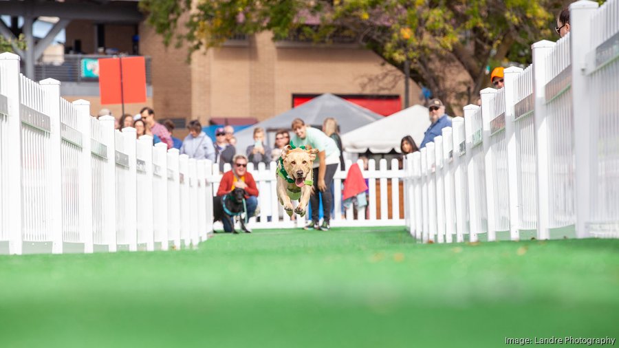 Fromm Petfest grow in attendance and festival scope in its sixth year