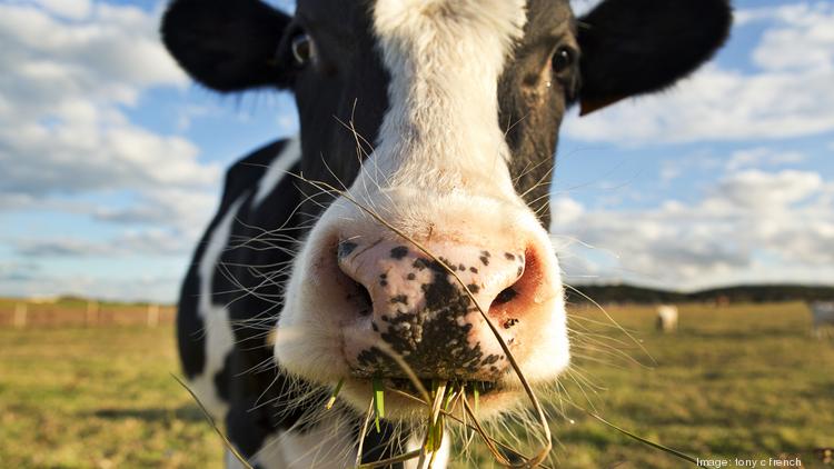 TechAccel sells majority stake in Covenant Animal Health Partners - Kansas City Business Journal TechAccel sells majority stake in Covenant Animal Health Partners - Kansas City Business Journal