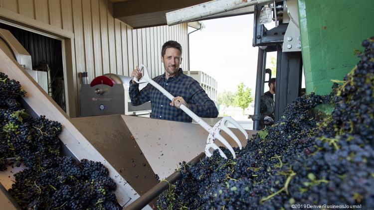Carboy Winery CEO Kevin Webber combs through grapes in the winery's Littleton location.