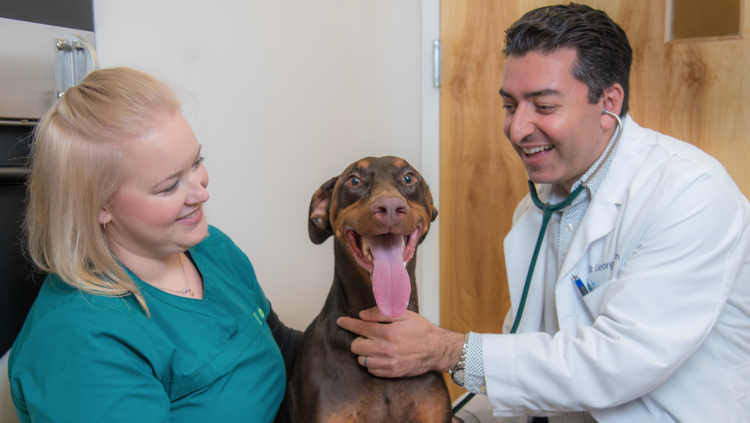 Oak Heart Veterinary Hospital to open latest location in burgeoning Raleigh  corridor - Triangle Business Journal
