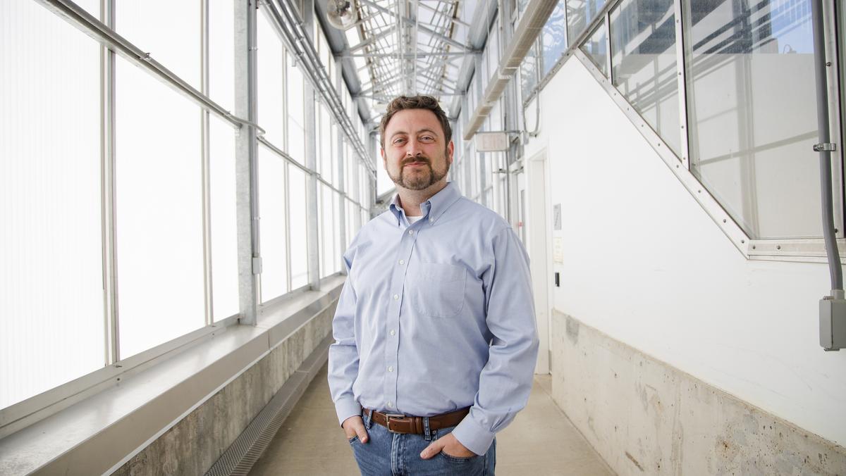 Benson Hill launches seed company St. Louis Business Journal