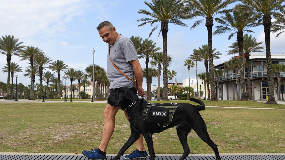 K9's for Warriors building megakennel in St. Johns County as growing