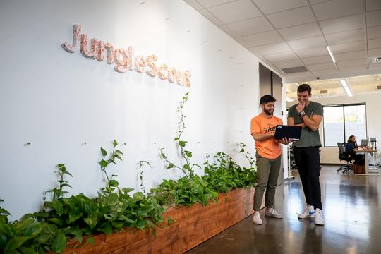 Office Jungle Scout