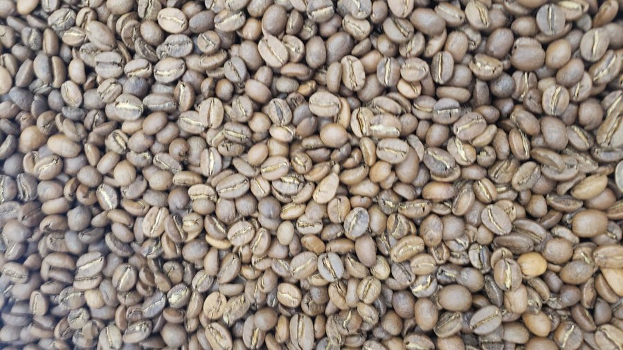 Bold Bean Coffee Roasters, a Jacksonvillebased coffee company, is