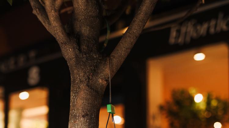 For Eco Friendly Apparel Maker Amour Vert Brick And Mortar Is Key New York Business Journal