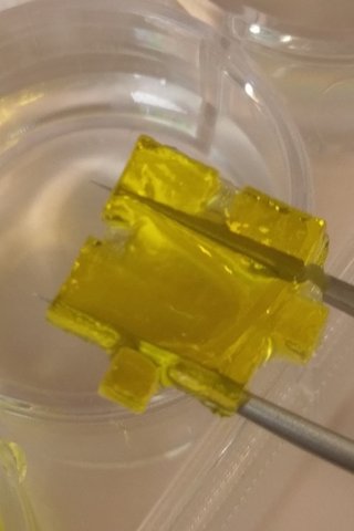 Ronawk launches Tissue Blocks, a 3-D stem cell growth platform - Kansas ...