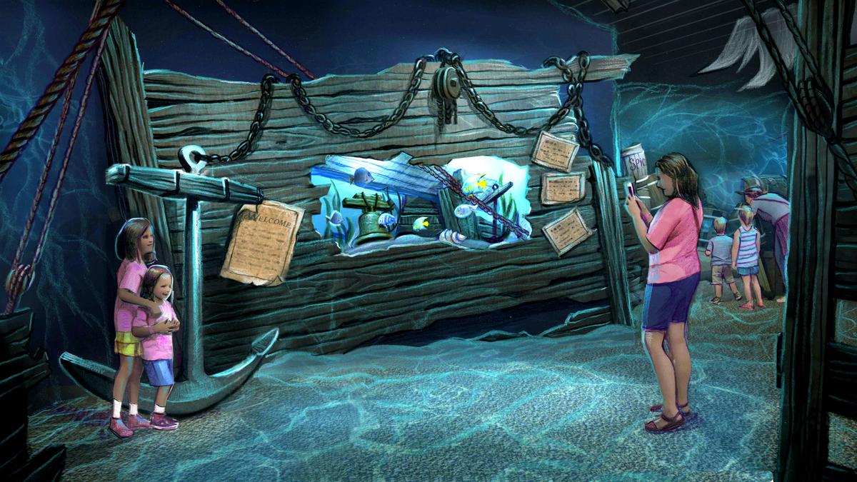 Newport Aquarium Announces Reopening Date New Guidelines Cincinnati Business Courier Newport aquarium reopening date