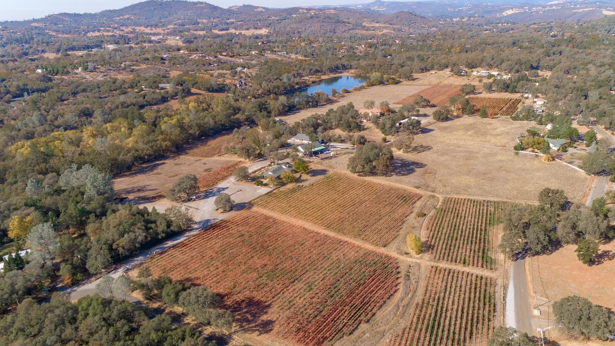 Cielo Estate Winery in Shingle Springs listed for sale Sacramento