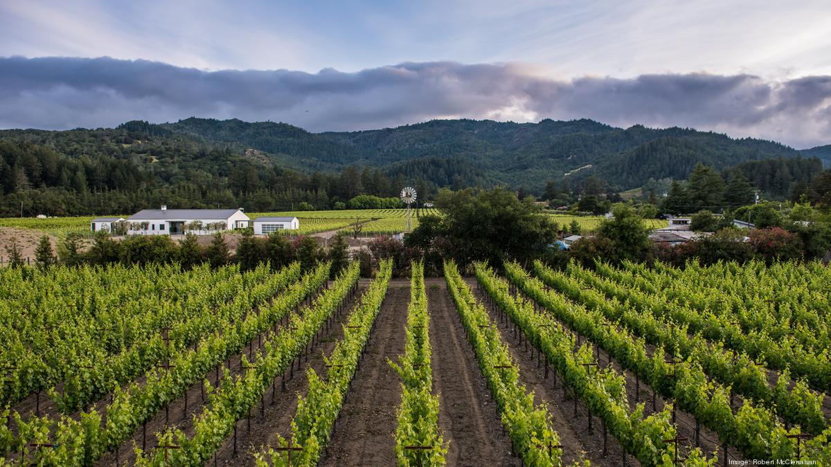Napa's first cannabis-infused rosé maker files for bankruptcy - San Francisco Business Times