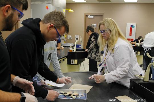 SynDaver Synthetic Frog