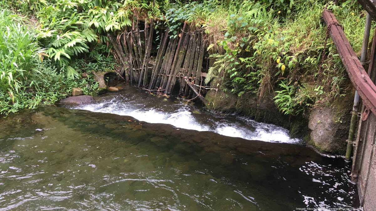 Maui Land & Pineapple Co. begins West Maui ditch restoration project