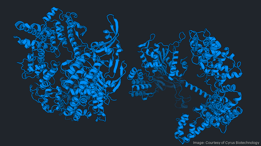 Cyrus Biotechnology partners with MIT, Harvard to find safer CRISPR