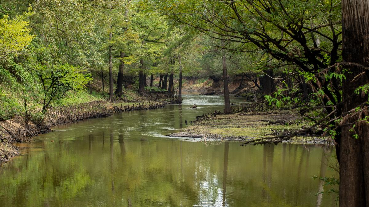 1,100acre Big Cypress Bayou River Ranch being marketed in ‘call for