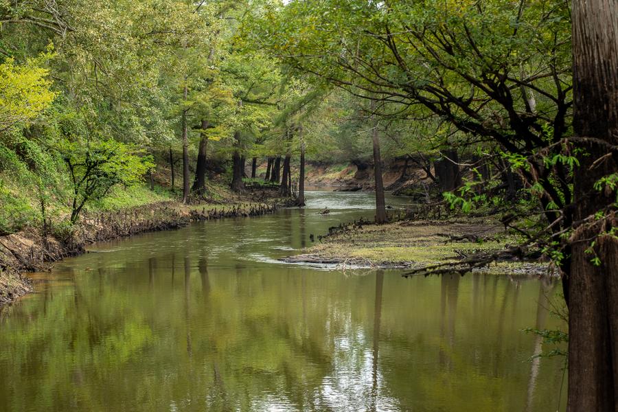 The Big Cypress Bayou River Ranch Dallas Business Journal