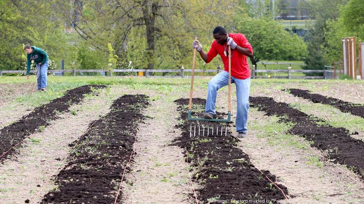 Learning gardens at PCC’s campuses and centers emphasize hands-on sustainability education and help address food insecurity among students.