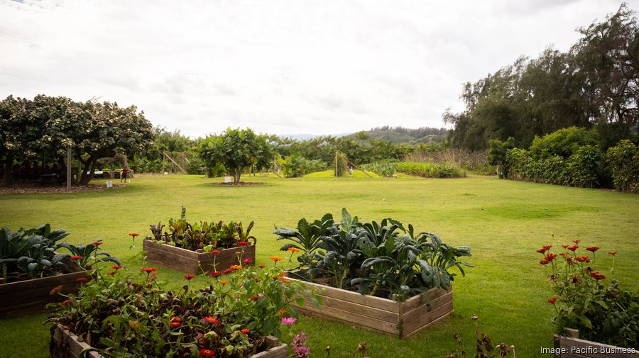 Kahuku Farms leverages sustainability, diversification to grow the business Pacific Business News