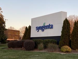 SYNGENTA