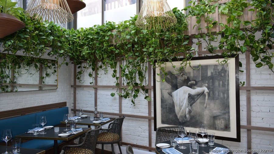 Restaurant Nora replacement from Ashok Bajaj and Frank Ruta sets