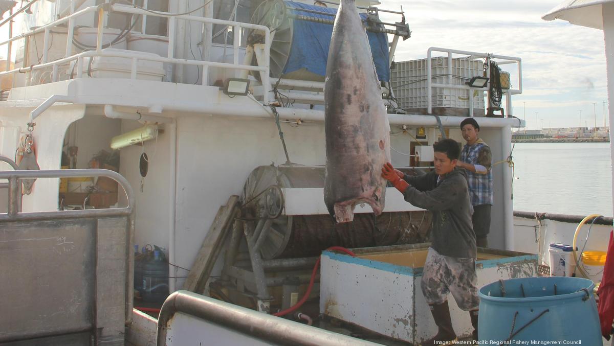Hawaii Swordfish fishery reopens following ninemonth hiatus Pacific