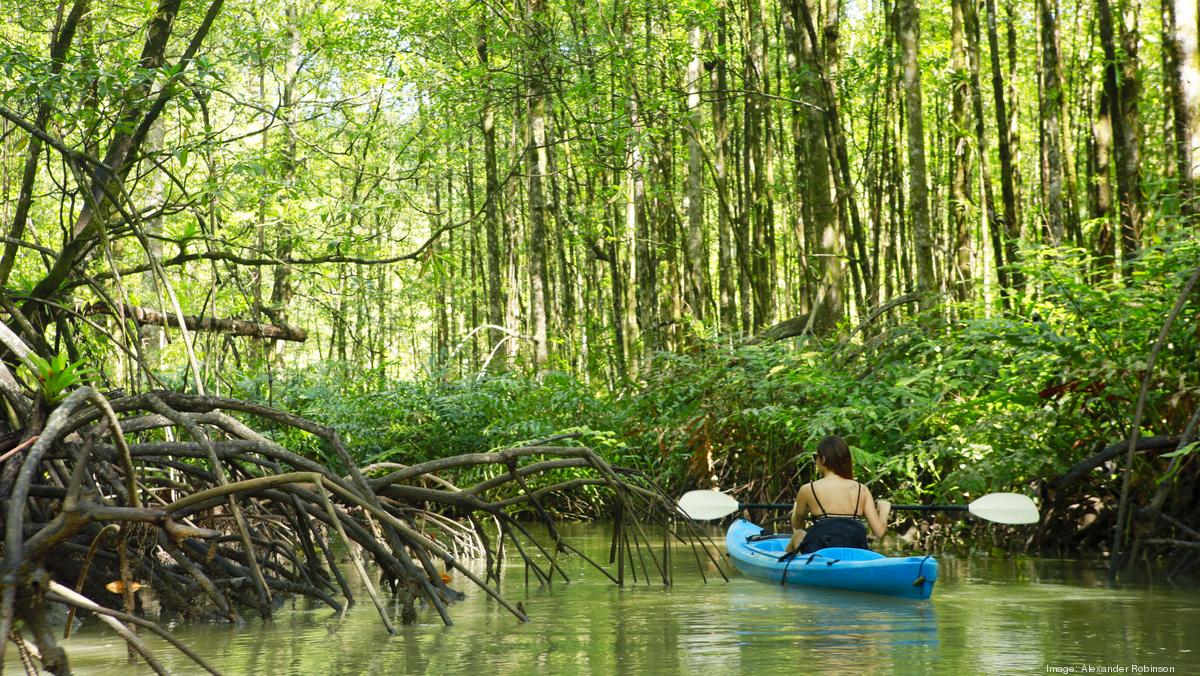 Mangrove Bayou Walkway, Tampa subcontractor outreach - Tampa Bay ...