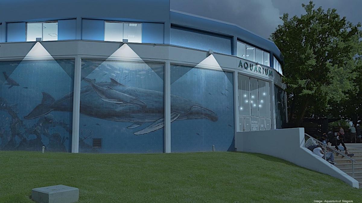 Aquarium wants to a meeting destination Buffalo Business First