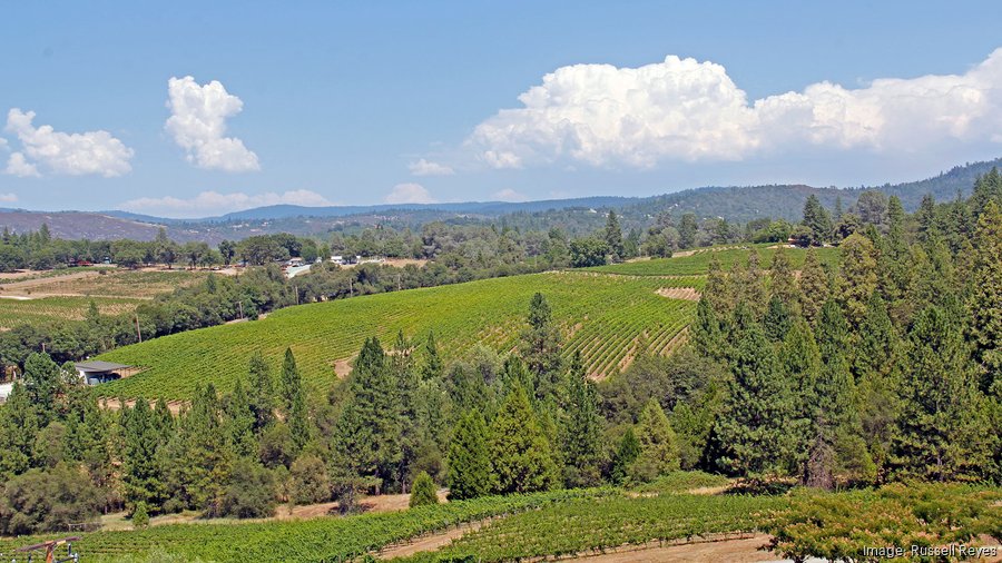 Ron Mittelstaedt buys Toogood Winery in Somerset - Sacramento Business ...