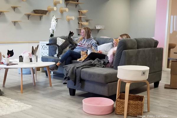 A New Cafe Featuring Felines And Craft Coffee Frisky Cat Cafe Is Set To Open In St Augustine In March Jacksonville Business Journal