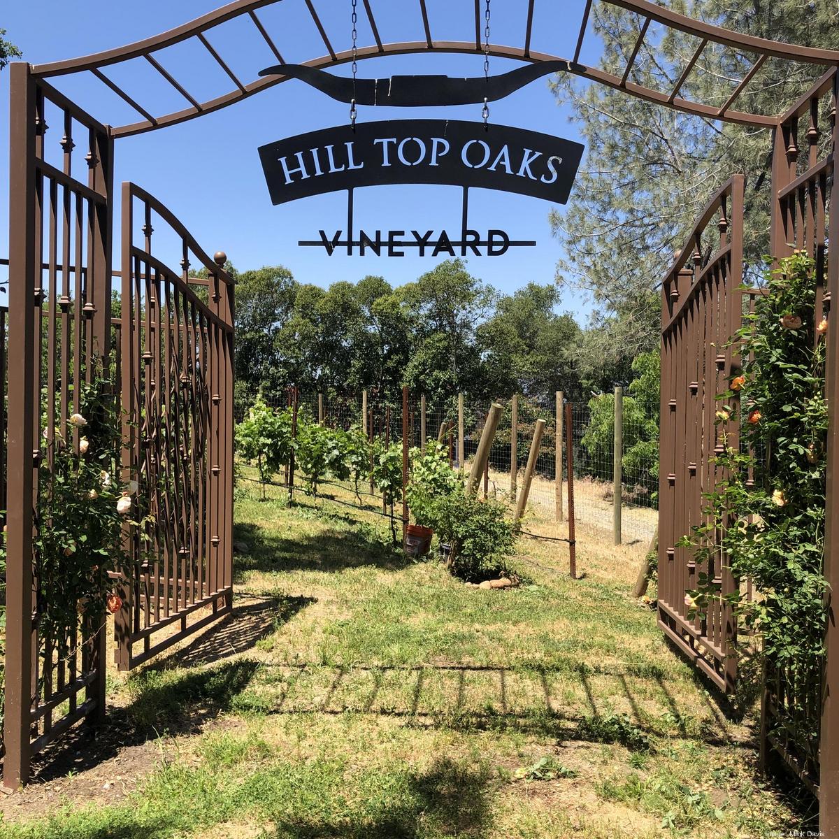 Hilltop Oaks Winery in Loomis applies for liquor license Sacramento
