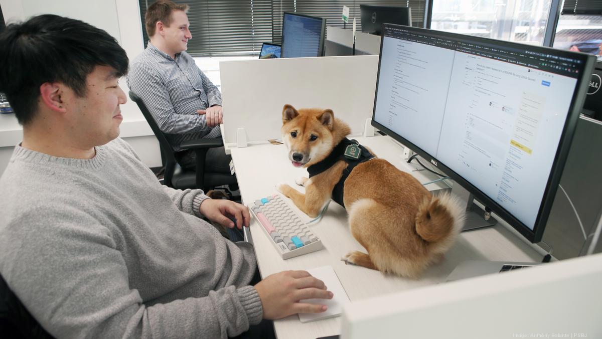 How Do You Train An Office Dog
