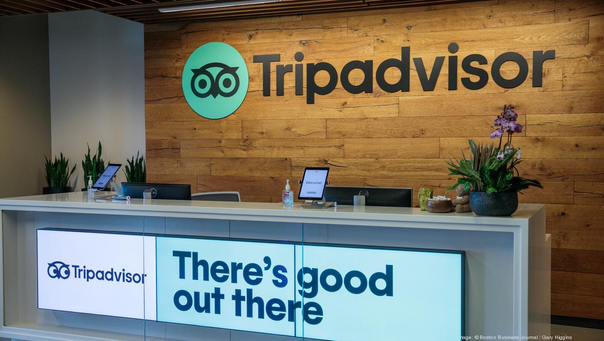 Big tech congressional hearing Tripadvisor CEO 'enforcement