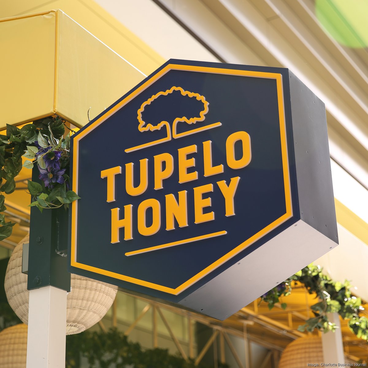 New year = new menu - Tupelo Honey Southern Kitchen & Bar