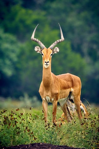 South Texas rancher profile: Michalak Ranch - San Antonio Business Journal