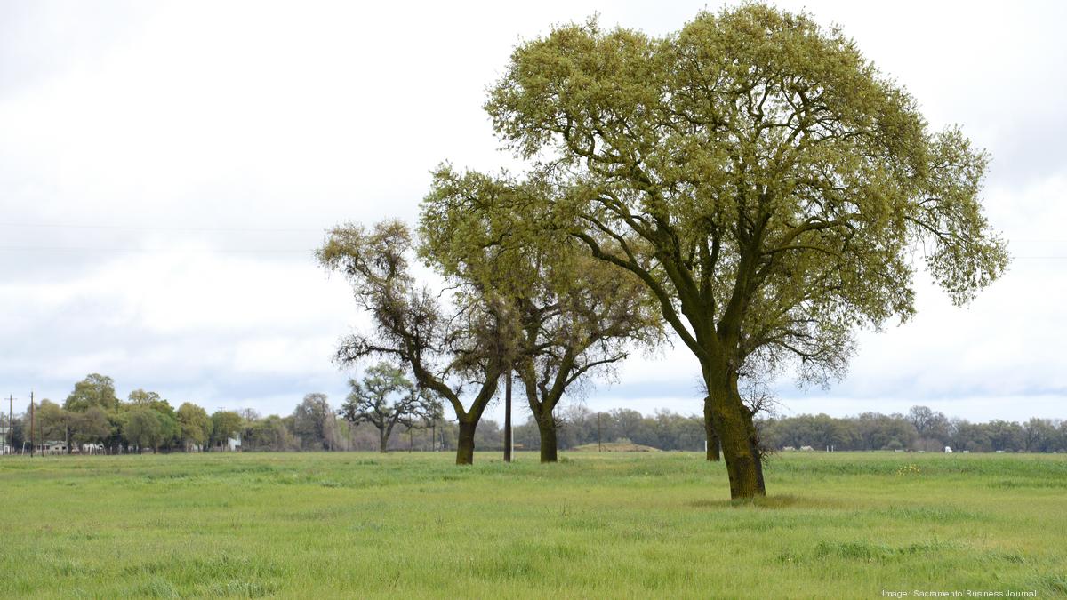 Elk Grove declares city-owned properties as potential housing sites - Sacramento Business Journal