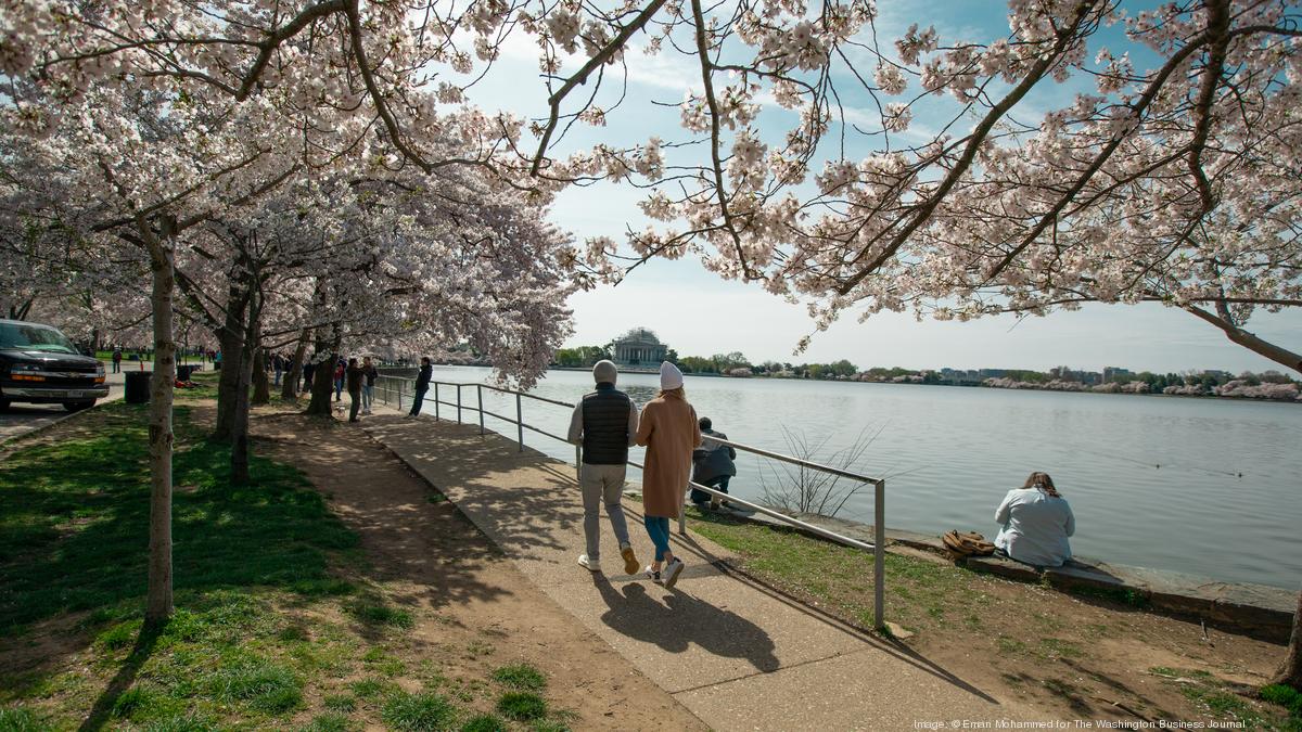 Cherry Blossom Festival (U.S. National Park Service)