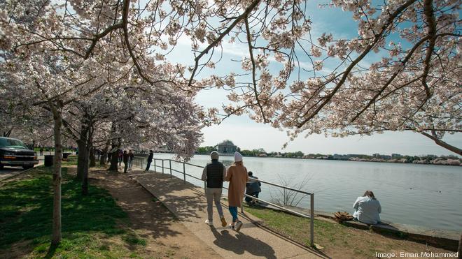 Perform at the Tidal Basin - National Cherry Blossom Festival