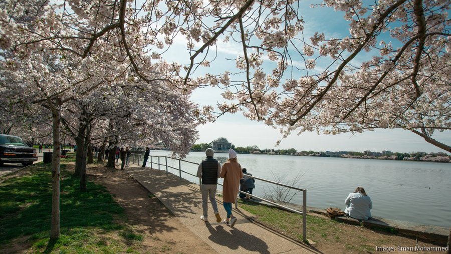 D.C. restaurants, hotels expect bounce from National Cherry Blossom
