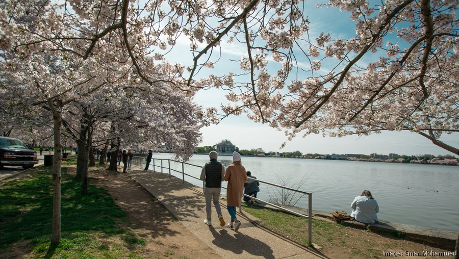 Get Out There: Cherry Blossom Parade returns to DC