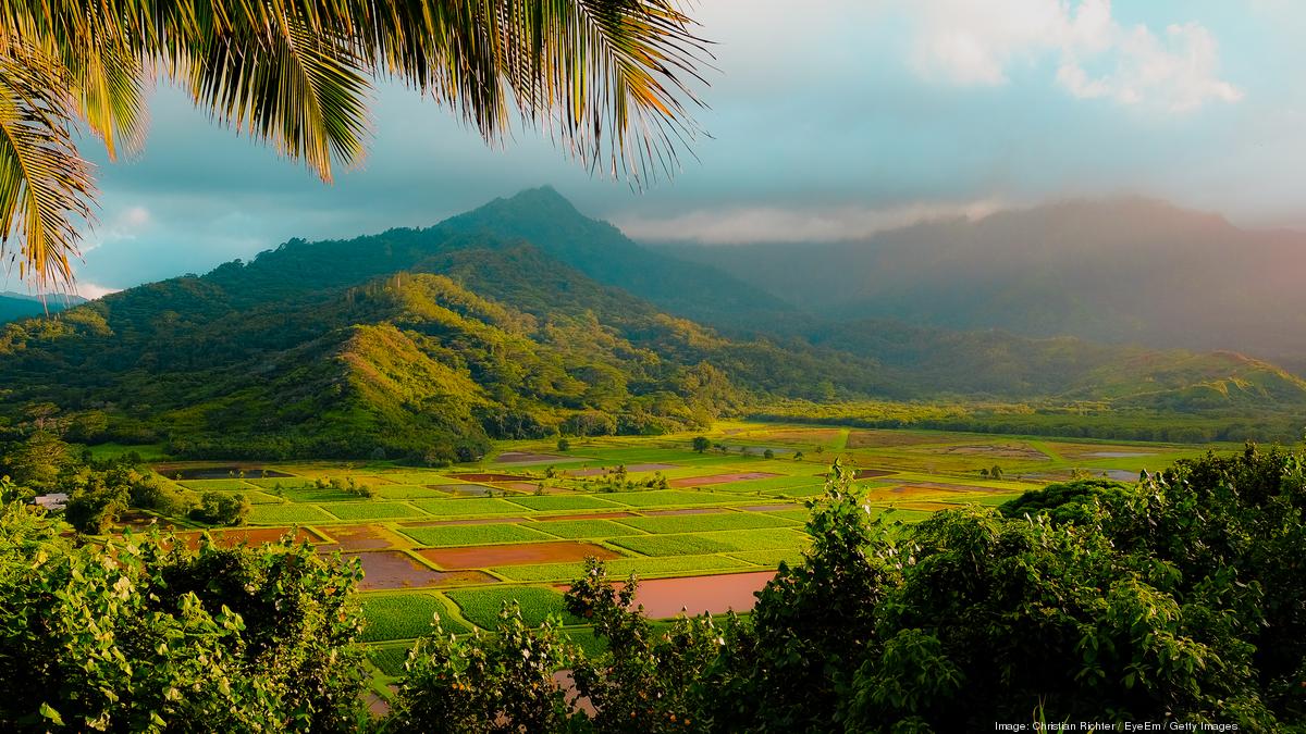 Farm-to-car program offers a drive-through farmers market - Pacific ...