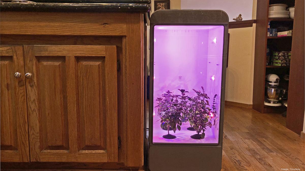 Have trouble keeping plants alive? Maybe you need a smarter garden
