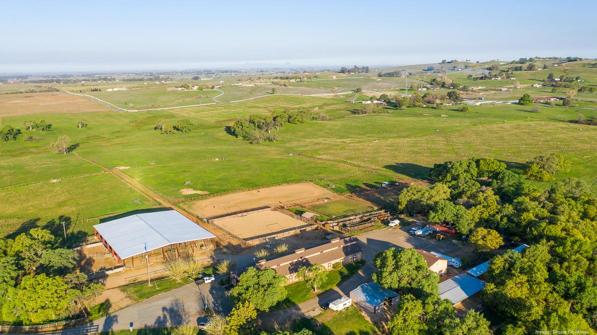 Equestrian News, Articles, Stories & Trends for Today