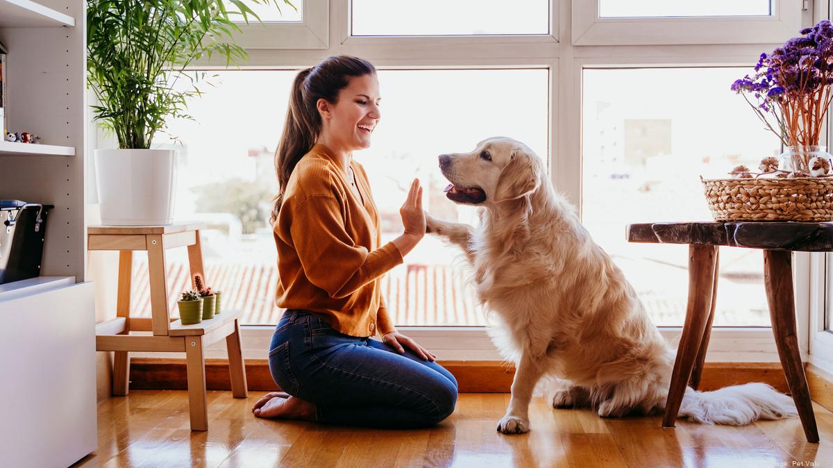 Pet stores find ways to safely serve customers and their fourlegged