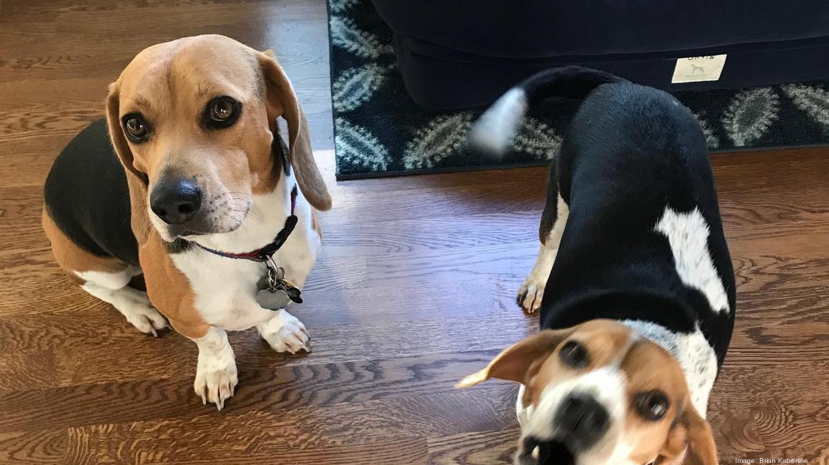 Hill's Pet Nutrition will relocate its headquarters to Overland Park