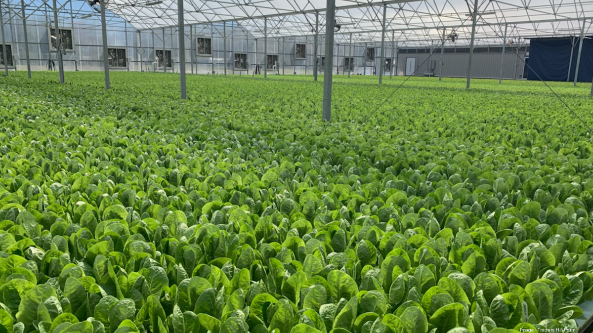 Nassau County's Trader's Hill Farm pivoted to save the business and