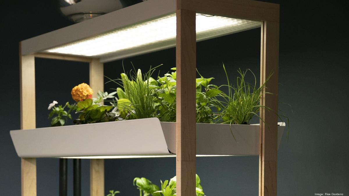 Indoor Ag Startup Gotham Greens Raises $87M for Expansion