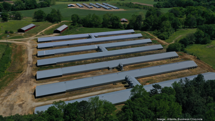 poultry farm for sale in georgia