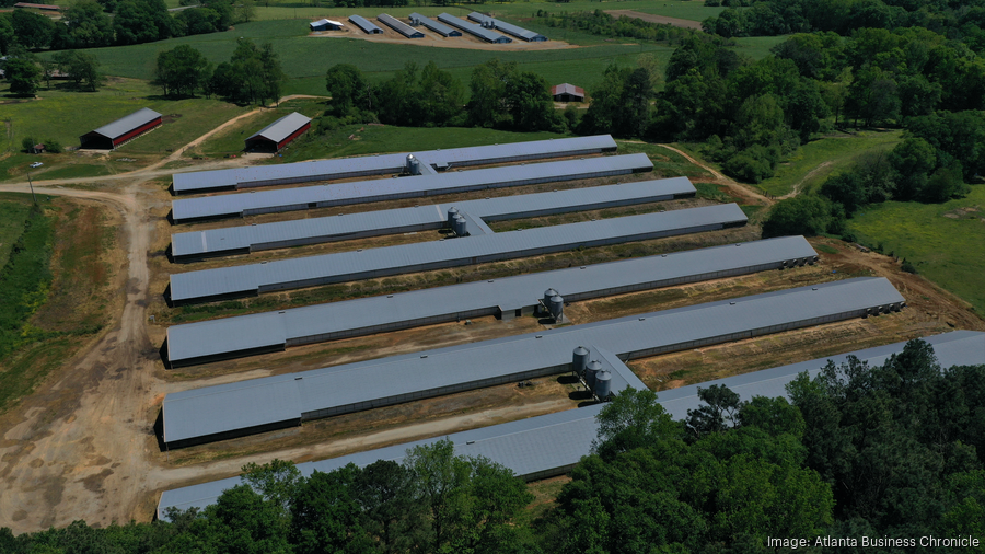 President of Claxton Poultry Farms, three other execs