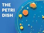 The Petri Dish logo